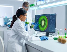 Ein Forscherteam untersucht eine Kiwi im Labor