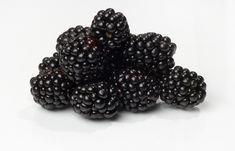 Blackberries lead UK berry season