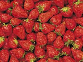 Stawberries