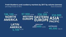 Euromonitor infographic blueberries 2017