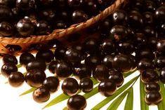 Acai
