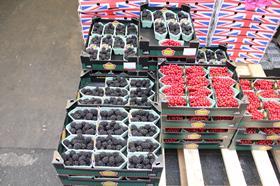English blackberries at wholesale Bradford