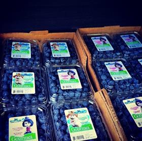US Gourmet Trading blueberries