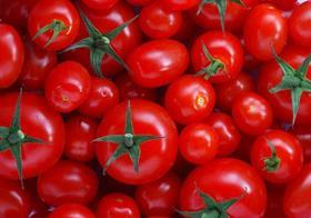 Tomatoes copyright The Ewan Flickr
