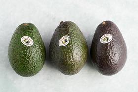 california avocado