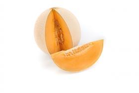 Rijk Zwaan melon