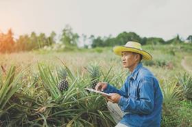 Dole Asia pineapple Dole Sunshine Company Businessman_farmer_holding_tablet-RGB