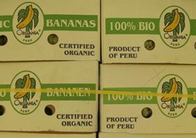 Peru banana export box