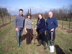 Peter Breach, Dr Theresa Huxley, Julia Page and John Breach plant the Huxley Cheerfull Gold orchard at Pershore College