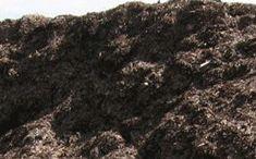Soil and more compost
