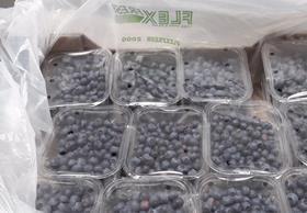 Uflex blueberries