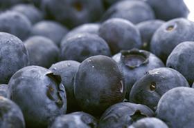 Chilean blueberries