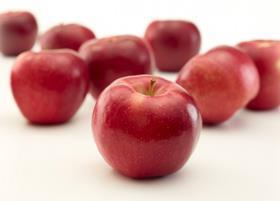 RubyFrost apples New York State