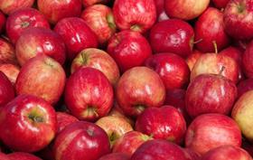 Australian apples