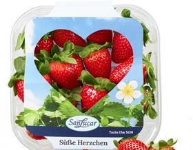 SanLucar VD strawberries