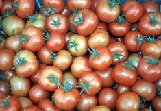 Classic round toms are finding the going tough