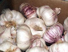 Garlic scam that saw boss jailed for six years was ‘not surprising’