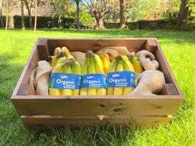 Fyffes Organic Fairtrade bananas new packaging 2019