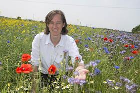 UK Syngenta Belinda Bailey in Operation Pollinator wildflower mix