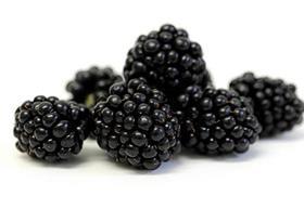 blackberries