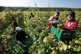 farm workers