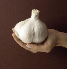 Elephant garlic is as big as a tennis ball