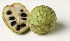 Cherimoya is making gains in the autumn window