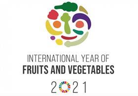 INTERNATIONAL YEAR OF F&V