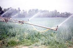 Report criticises crop spraying recommendations