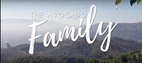 The Avocado Family West Pak