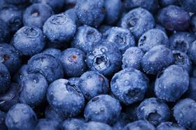 Blueberries