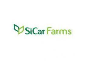 Sicar Farms