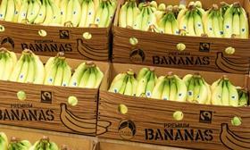 Lidl Fairtrade bananas