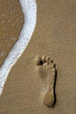Making their mark: Companies need to act now, say ADL