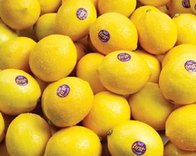Meyer lemons Giumarra
