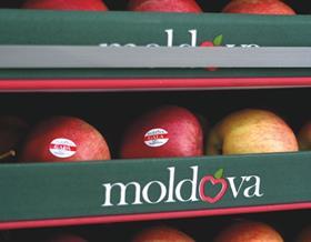 Moldova apples