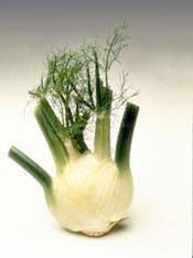 Morrisons in fennel sales drive