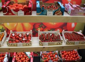 BelOrta tomatoes