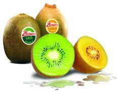 Zespri kiwifruit exports 'to be lower than 2011'