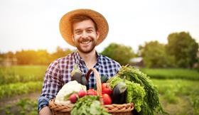 Young farmer organic vegetables basket