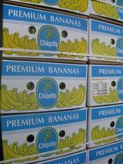Increased banana sales have improved the company's performance