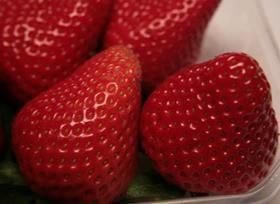 Egyptian strawberries