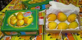 IN UK GB Alphonso mangoes Fruity Fresh