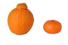 M&S steps into the ring with new satsuma