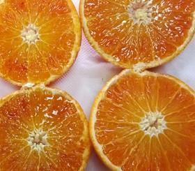 Mandarossa clementine