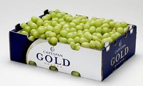 ZA Capespan Gold grapes