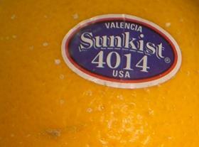 US Sunkist oranges Valencia