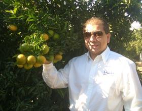 Alberto Cuellar Chilean navel oranges