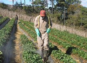 man spraying crops