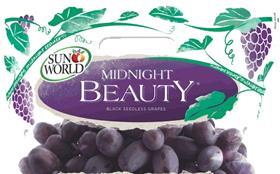 SunWorld - Midnight Beauty